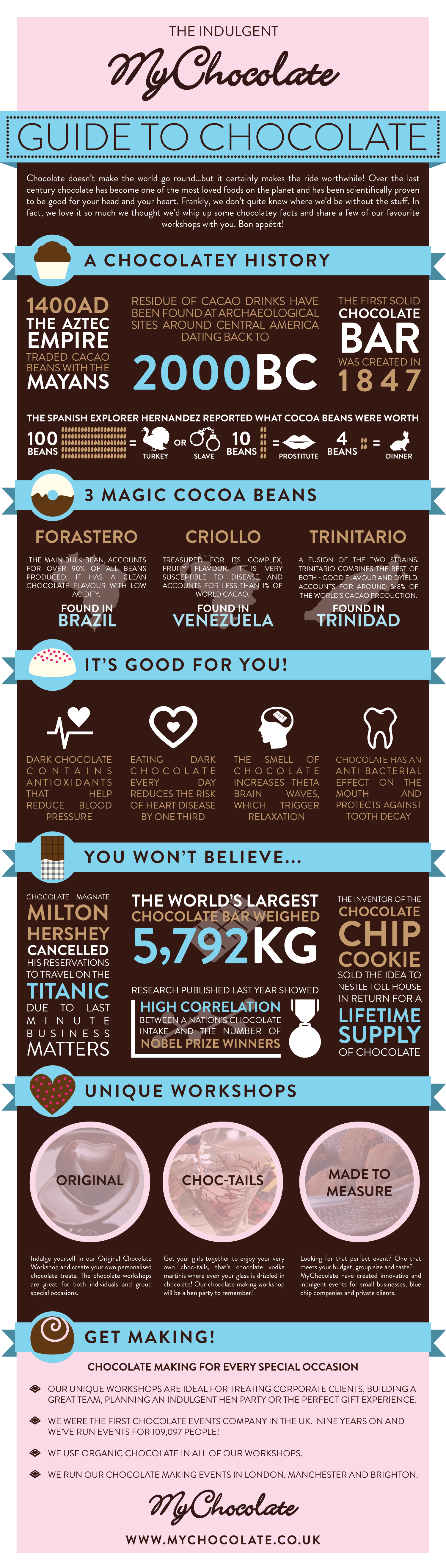 Guide To Chocolate Infographic